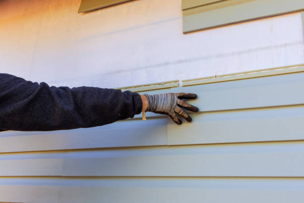 Affordable Siding Repair and Maintenance Services in Omao, HI